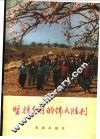 坚持乡村的伟大胜利 封面