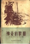 神奇的眼睛 封面