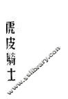 虎皮骑士 电子书封面