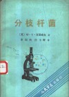 分枝杆菌 封面