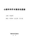 心脏外科手术集彩色图谱 封面