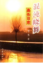 混沌晓舞  县长日志 封面