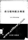动力煤的综合利用 封面