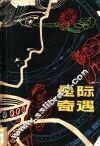 星际奇遇 封面