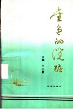 金色的缆桩 封面