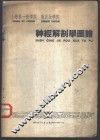 上海第一医学院  重庆医学院  神经解剖学图谱 封面