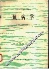 电工学基本教程  上 封面