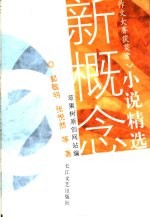 新概念作文大赛获奖者小说精选 封面