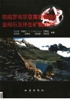 西藏罗布莎豆荚状铬铁矿、金刚石及伴生矿物成因 封面