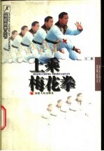 上乘梅花拳 封面