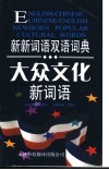 大众文化新词语 封面