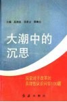大潮中的沉思 封面