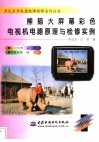 熊猫大屏幕彩色电视机电路原理与检修实例 封面