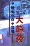乡镇企业改革发展大趋势 封面