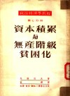 政治经济学教程  第7分册  资本积累与无产阶级贫困化 封面