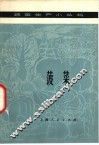 菠菜 封面