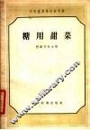 糖用甜菜 封面