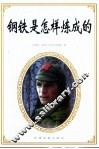 钢铁是怎样炼成的 封面