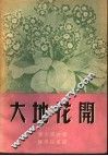 大地花开 封面