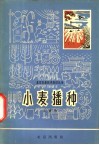 小麦播种 封面