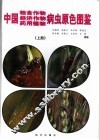 中国粮食作物、经济作物、药用植物病虫原色图鉴  中国粮食作物病虫原色图鉴 封面