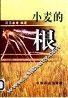 小麦的根 封面
