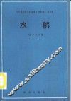 水稻 封面