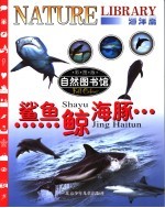 鲨鱼·鲸·海豚 封面