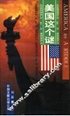 美国这个谜 封面
