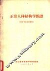 正常人体结构学图谱 封面