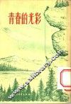 青春的光彩 封面