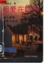 相爱在哈佛 封面