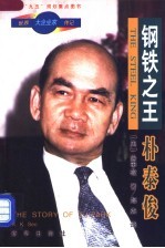 钢铁之王-朴泰俊 电子书封面