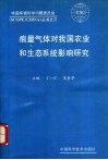 痕量气体对我国农业和生态系统影响研究 封面