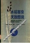 水稻害虫天敌图说 封面