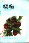 杨梅 电子书封面
