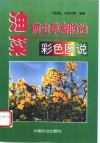 油菜病虫草害防治彩色图说 封面