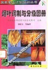 烟叶调制与分级图册 封面
