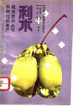 梨 封面