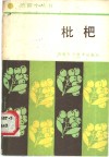 枇杷 封面