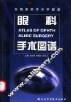 眼科手术图谱 电子书封面
