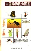 中国珍稀昆虫图鉴 封面