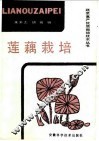 莲藕栽培 电子书封面