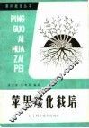苹果矮化栽培 封面