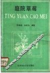 庭院草莓 封面