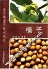 榛子 封面