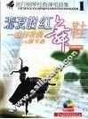 流行钢琴经典弹唱曲集  1  流浪的红舞鞋 封面
