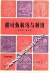 甜叶菊栽培与利用 电子书封面