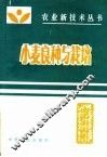 小麦良种与栽培 封面