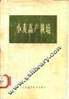 小麦高产栽培 封面